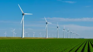 wind turbines in field